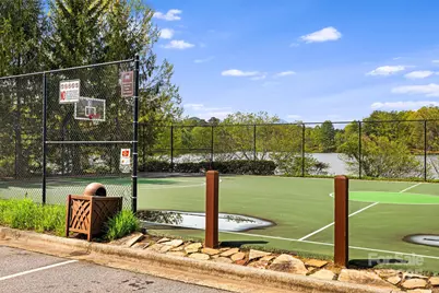 14 Larue Court, Biltmore Lake, NC 28715 - Photo 42