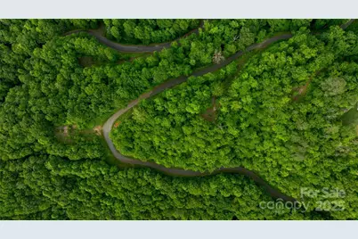 00 Upper Dalton Creek Road, Franklin, NC 28734 - Photo 4
