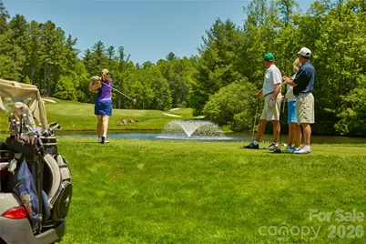 158 Chattooga Run, Hendersonville, NC 28739 - Photo 14