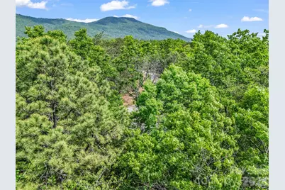 4 Woodward Drive, Mill Spring, NC 28756 - Photo 32