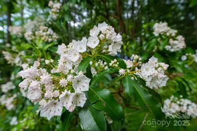 45 Gracious Lane, Waynesville, NC 28785 - Photo 28