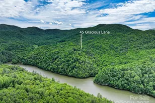 45 Gracious Ln, Waynesville, NC 28785 - Photo 46