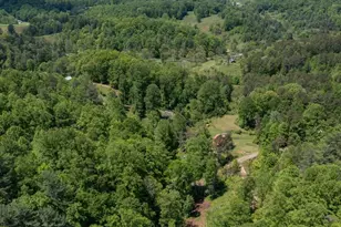 83 Mt Airy Rd, Marshall, NC 28753 - Photo 32