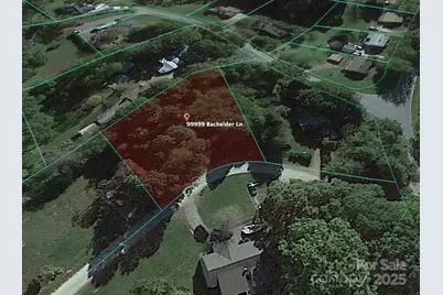 99999 Bachelder Lane, Candler, NC 28715 - Photo 4