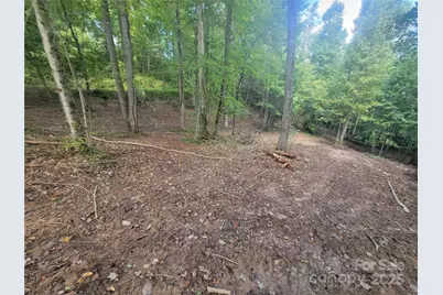 00 Bradford Park #10, Clyde, NC 28721 - Photo 8