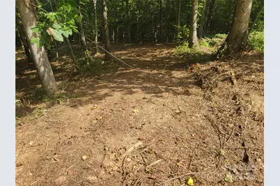 00 Bradford Park #10, Clyde, NC 28721 - Photo 4