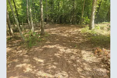 00 Bradford Park #10, Clyde, NC 28721 - Photo 6