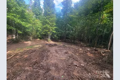 00 Bradford Park #10, Clyde, NC 28721 - Photo 10