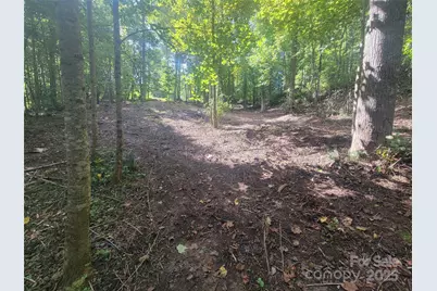 00 Bradford Park #10, Clyde, NC 28721 - Photo 12