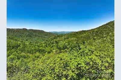 99999 Anderson Cove Road, Barnardsville, NC 28709 - Photo 6