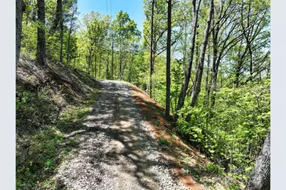 99999 Anderson Cove Road, Barnardsville, NC 28709 - Photo 24