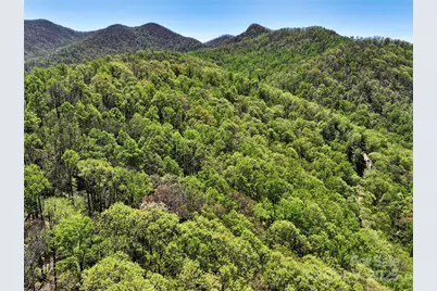 99999 Anderson Cove Road, Barnardsville, NC 28709 - Photo 34