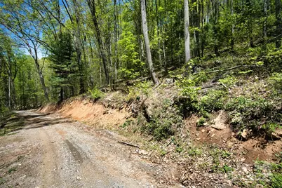 99999 Anderson Cove Road, Barnardsville, NC 28709 - Photo 20