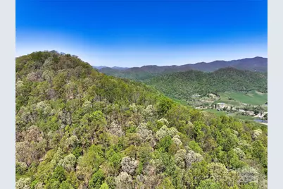 99999 Anderson Cove Road, Barnardsville, NC 28709 - Photo 30