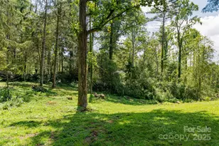 426 Vanderbilt Rd, Asheville, NC 28803 - Photo 44