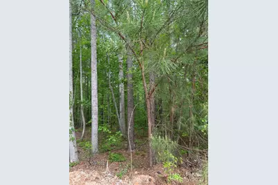 7300 Bay Cove Court, Denver, NC 28037 - Photo 1