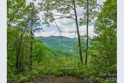 59 Pisgah Mountain Trail, Candler, NC 28715 - Photo 1