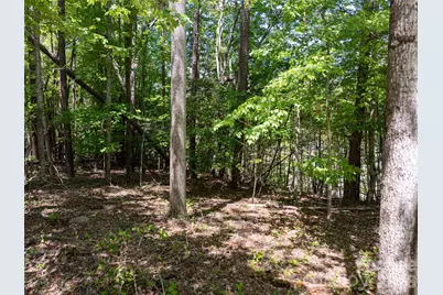 99999 Brevard Road, Arden, NC 28704 - Photo 4