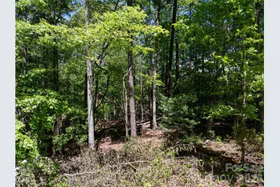 99999 Brevard Road, Arden, NC 28704 - Photo 8