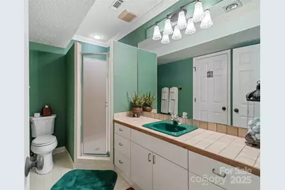 161 Winding Meadows Drive, Flat Rock, NC 28731 - Photo 32