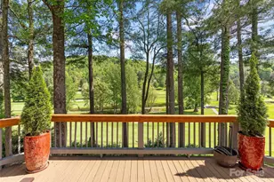 161 Winding Meadows Dr, Flat Rock, NC 28731 - Photo 14