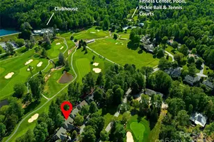 161 Winding Meadows Dr, Flat Rock, NC 28731 - Photo 48