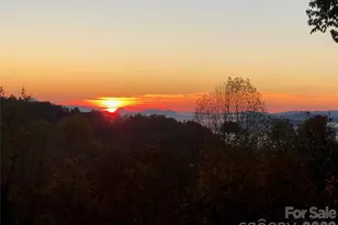 105 Spring Path, Hendersonville, NC 28739 - Photo 10