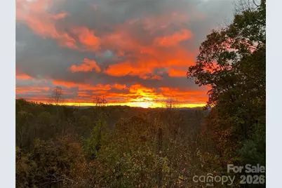 105 Spring Path, Hendersonville, NC 28739 - Photo 12