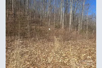 0 Towaliga Drive #94, Bryson City, NC 28713 - Photo 2