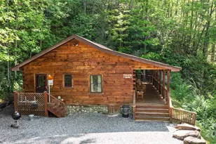 242 Eagles Roost Rd, Bryson City, NC 28713 - Photo 4