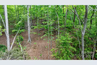 Tbd Darrow Drive #95, Nebo, NC 28761 - Photo 18