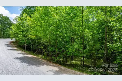 Tbd Darrow Drive #95, Nebo, NC 28761 - Photo 24