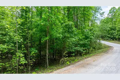 Tbd Darrow Drive #95, Nebo, NC 28761 - Photo 28