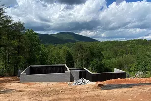 2 Jackson Rdg Ln, Mill Spring, NC 28756 - Photo 2