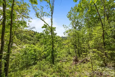 46 Hawtree Court #255, Weaverville, NC 28787 - Photo 10