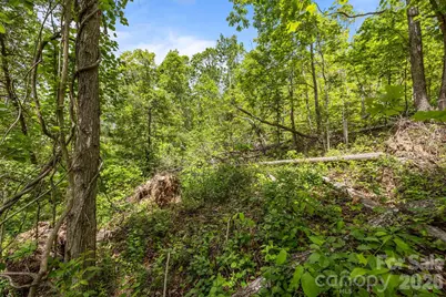 46 Hawtree Court #255, Weaverville, NC 28787 - Photo 20