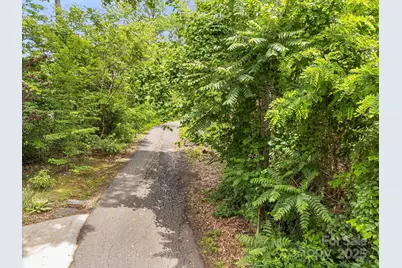 9999 Small Mountain Drive, Asheville, NC 28805 - Photo 4