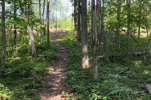 660 Pinehurst Rd, Ellenboro, NC 28040 - Photo 26