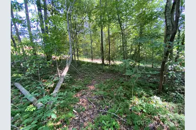 660 Pinehurst Road, Ellenboro, NC 28040 - Photo 22