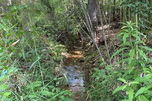 660 Pinehurst Rd, Ellenboro, NC 28040 - Photo 28