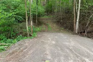 42 16 Acs Green River Cove Rd, Saluda, NC 28773 - Photo 1