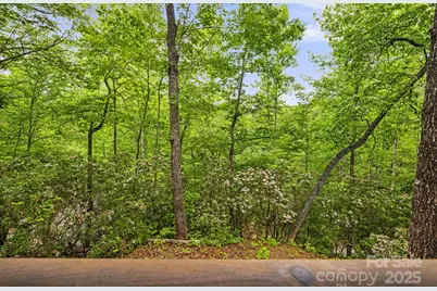 108 Cougar Alley, Lake Lure, NC 28746 - Photo 16