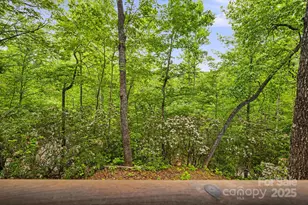 108 Cougar Alley, Lake Lure, NC 28746 - Photo 16