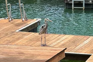 147 Bluewing Ln, Mooresville, NC 28117 - Photo 30