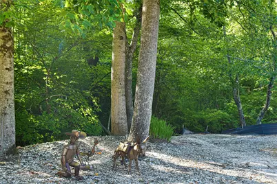 14622 226 Highway, Spruce Pine, NC 28777 - Photo 42