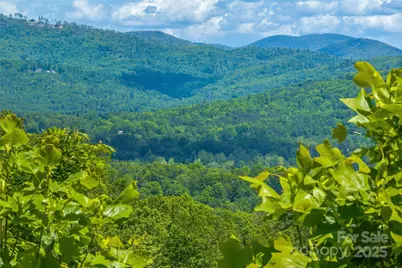 Lot R4 Curtain Bluff, Hendersonville, NC 28791 - Photo 4