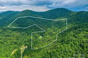 600 Charisma Dr, Marshall, NC 28753 - Photo 4