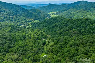 600 Charisma Dr, Marshall, NC 28753 - Photo 8