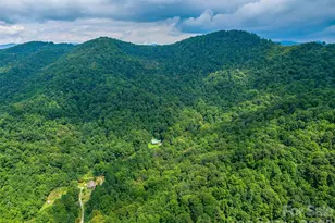 600 Charisma Dr, Marshall, NC 28753 - Photo 4