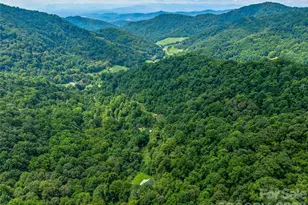 600 Charisma Dr, Marshall, NC 28753 - Photo 8